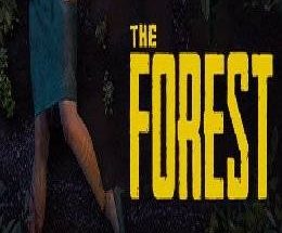 The Forest