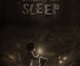 Among the Sleep