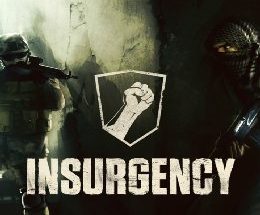 Insurgency