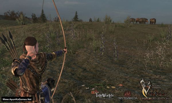 Mount & Blade: Warband Viking Conquest Screenshot 3