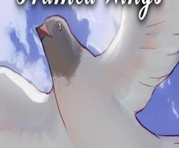 Framed Wings