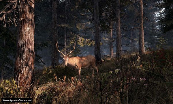 This Land Is My Land Screenshot 3, Full Version, PC Game, Download Free