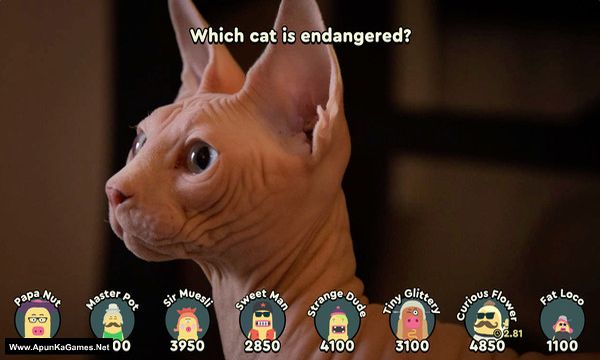 Papa's Quiz Screenshot 3, Full Version, PC Game, Download Free