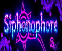 Siphonophore