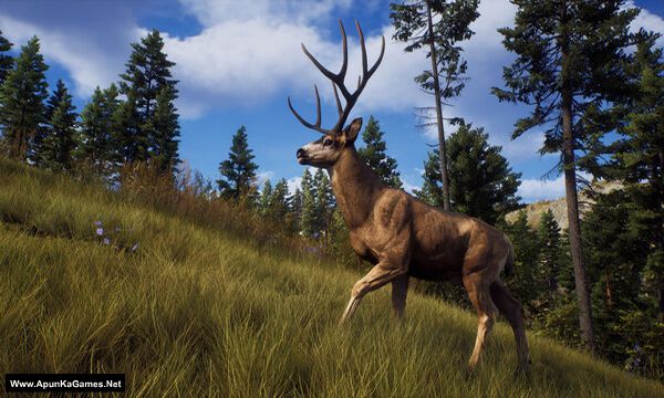 Way of the Hunter Screenshot 1, Full Version, PC Game, Download Free