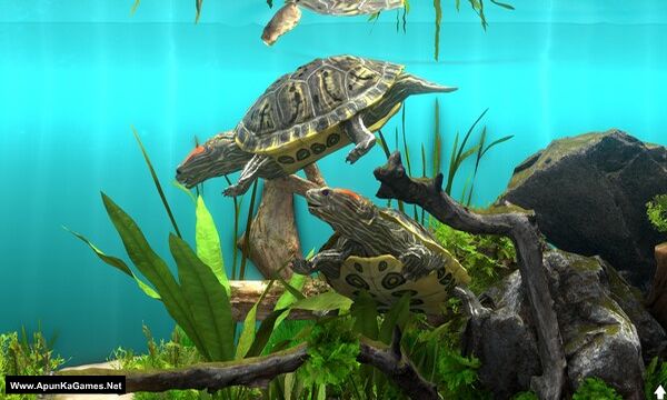 Behind Glass: Aquarium Simulator Screenshot 3, Full Version, PC Game, Download Free