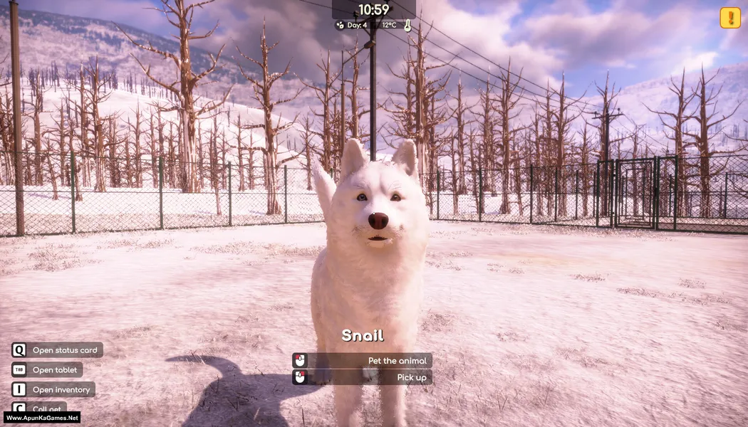 Animal Shelter 2 Screenshot 1, Full Version, PC Game, Download Free