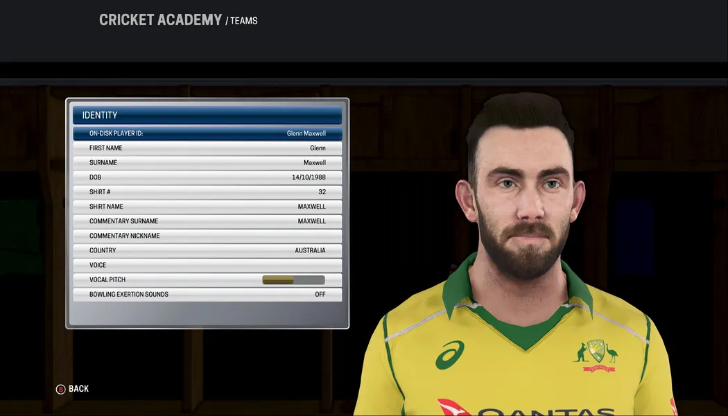 Ashes Cricket 2017, Screenshot,images, wallpaper, download
