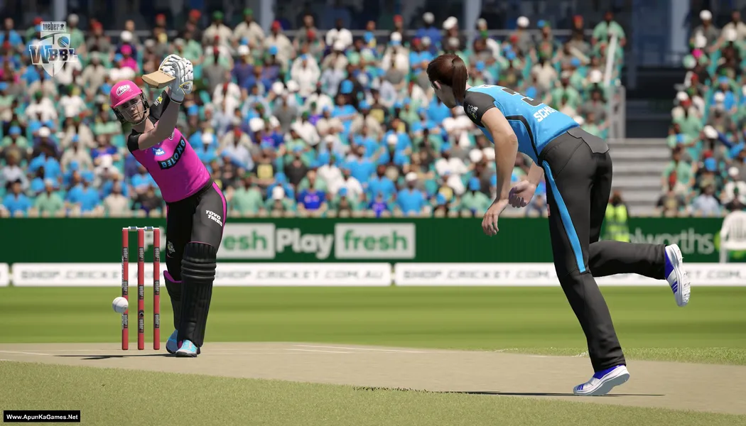Cricket 24 Screenshot 3, Full Version, PC Game, Download Free