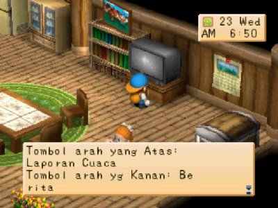 Harvest Moon: Back to Nature Screenshot Photos 2