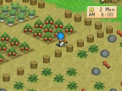 Harvest Moon: Back to Nature Screenshot Photos 3