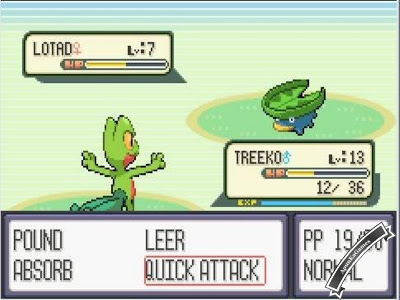 Pokemon Screenshot photos 2