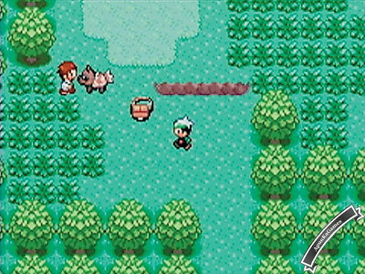 Pokemon Screenshot photos 3