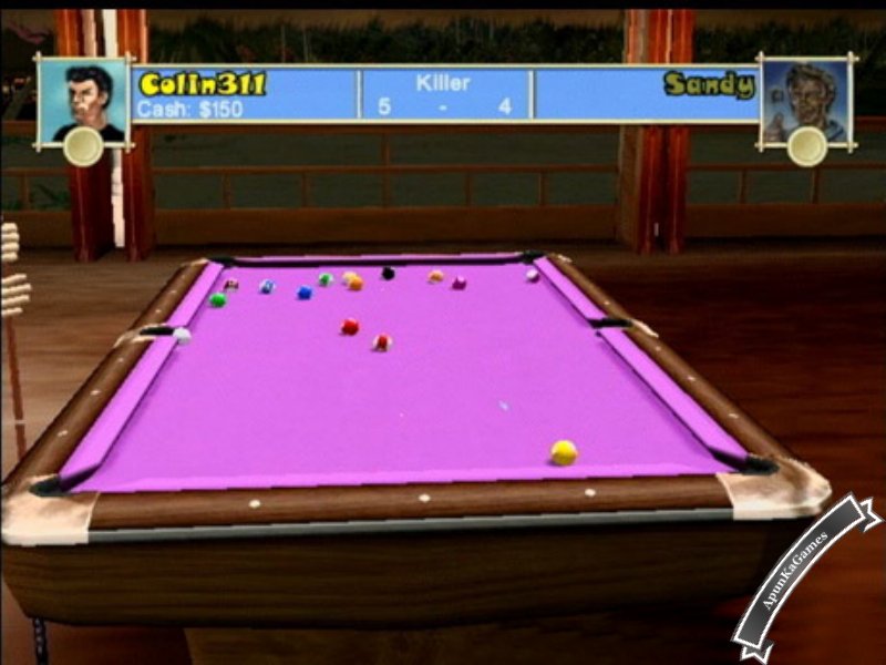 Pool Paradise Screenshot photos 3